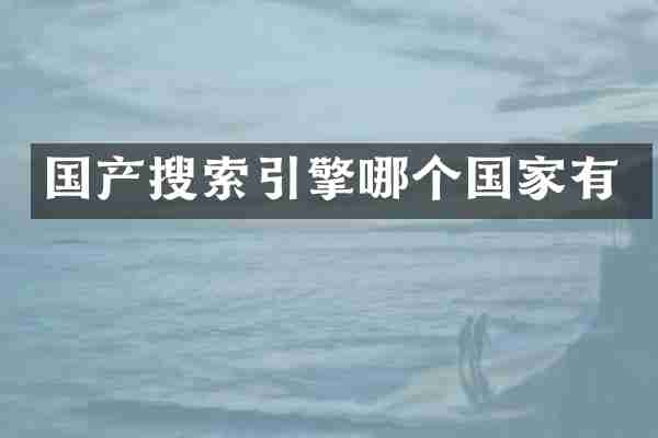 国产搜索引擎哪个国家有
