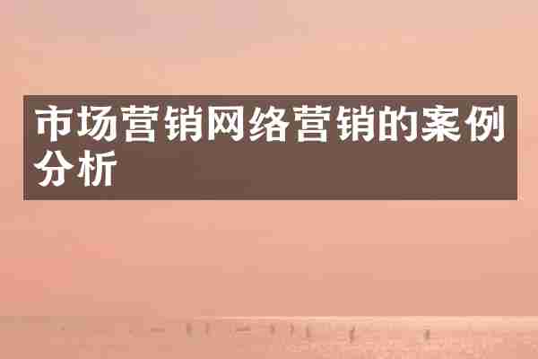 市场营销网络营销的案例分析