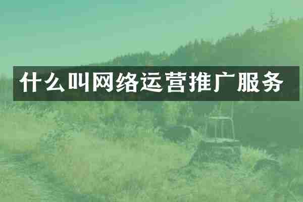 什么叫网络运营推广服务