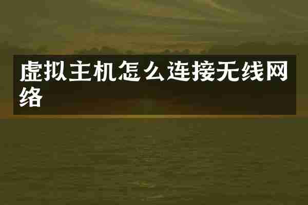 虚拟主机怎么连接无线网络