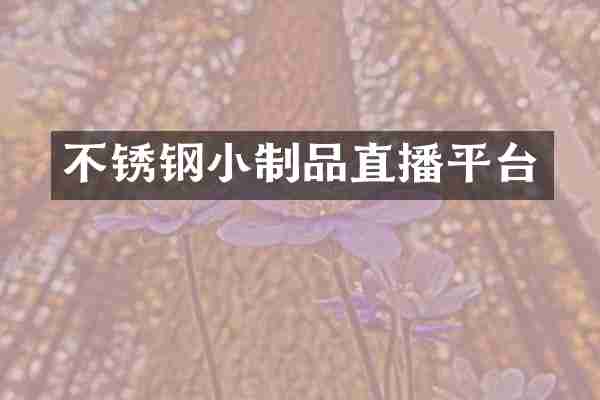 不锈钢小制品直播平台