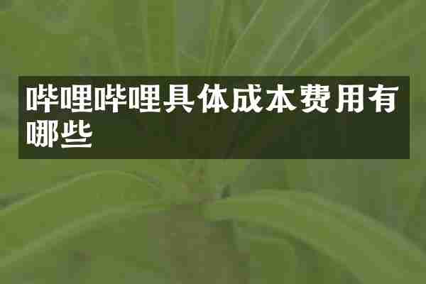 哔哩哔哩具体成本费用有哪些