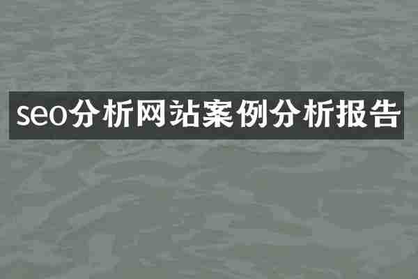 seo分析网站案例分析报告