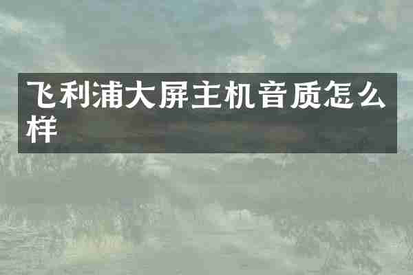 飞利浦大屏主机音质怎么样