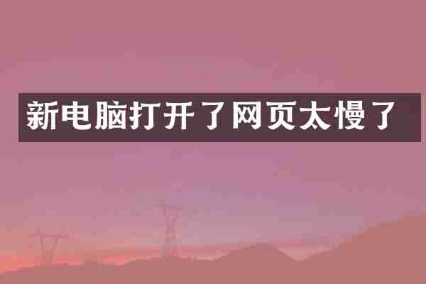 新电脑打开了网页太慢了