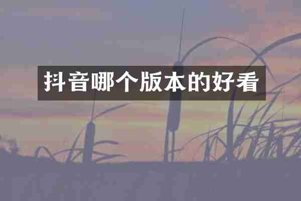 抖音哪个版本的好看