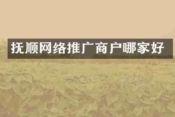 抚顺网络推广商户哪家好