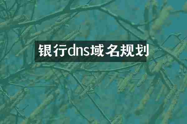 银行dns域名规划