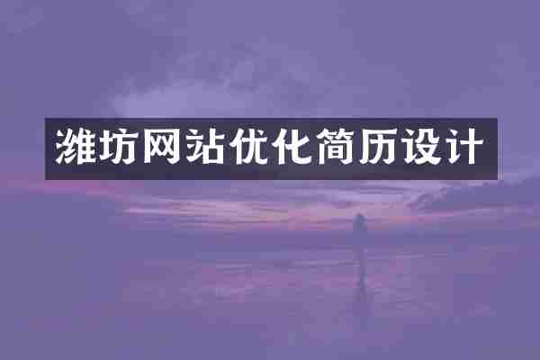 潍坊网站优化简历设计