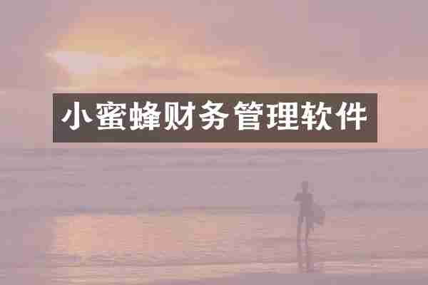 小蜜蜂财务管理软件