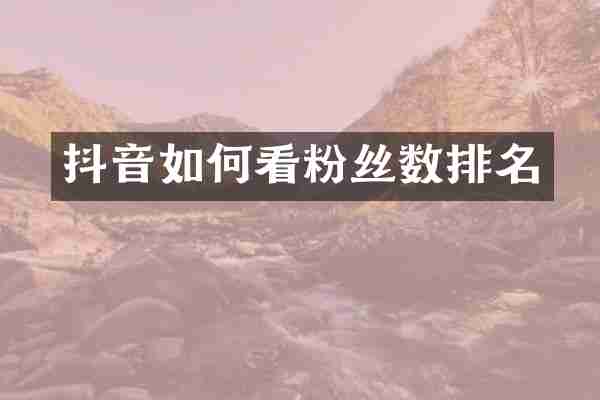 抖音如何看粉丝数排名