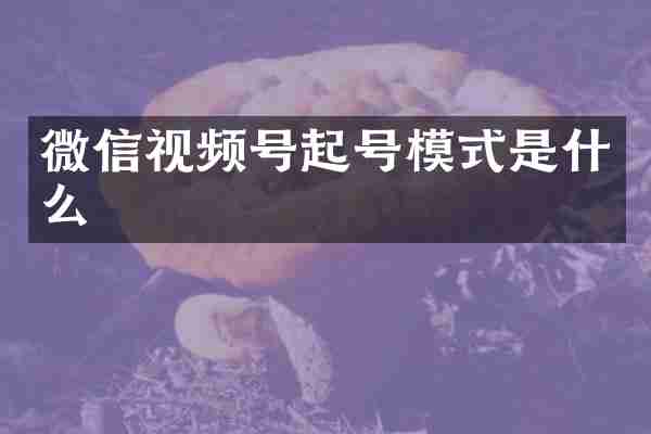 微信视频号起号模式是什么