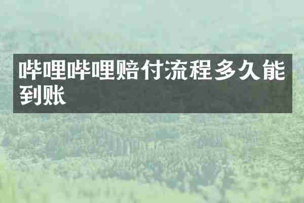 哔哩哔哩赔付流程多久能到账