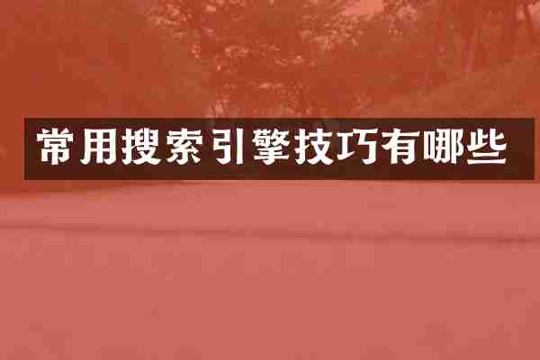 常用搜索引擎技巧有哪些