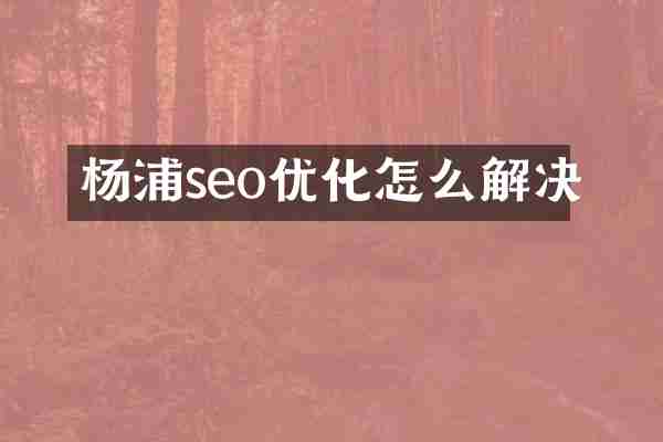 杨浦seo优化怎么解决