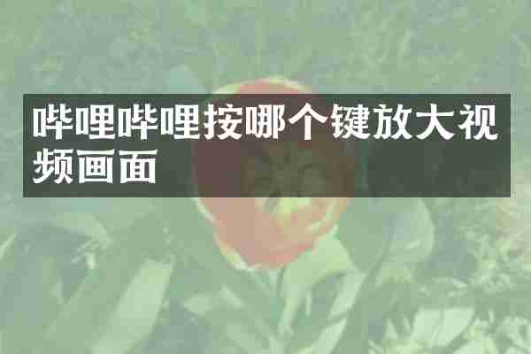 哔哩哔哩按哪个键放大视频画面