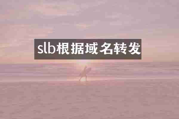 slb根据域名转发