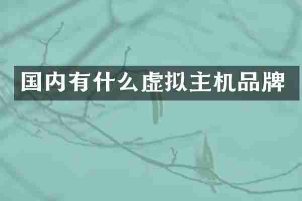 国内有什么虚拟主机品牌