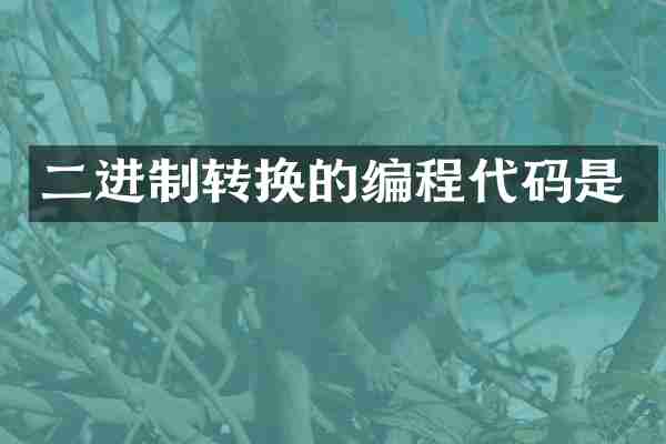 二进制转换的编程代码是