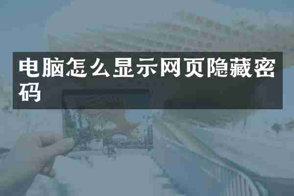 电脑怎么显示网页隐藏密码