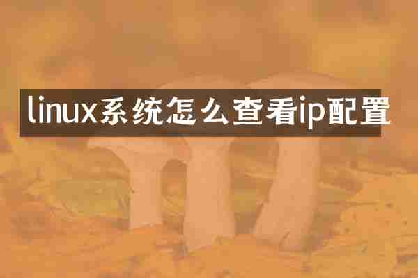 linux系统怎么查看ip配置