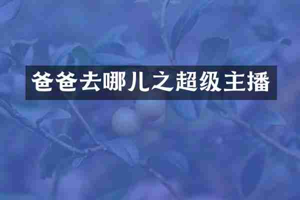 爸爸去哪儿之超级主播