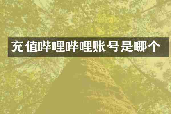 充值哔哩哔哩账号是哪个