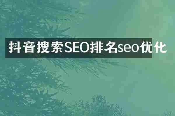 抖音搜索SEO排名seo优化