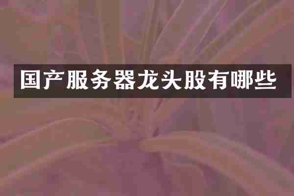 国产服务器龙头股有哪些