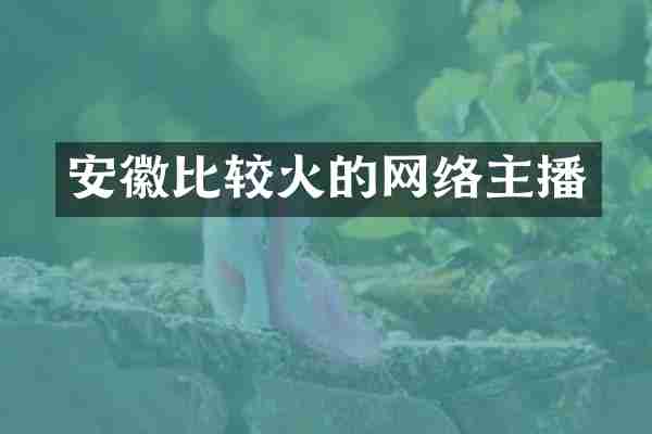 安徽比较火的网络主播