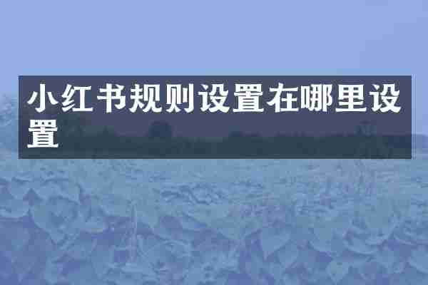 小红书规则设置在哪里设置