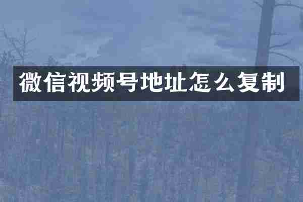 微信视频号地址怎么复制