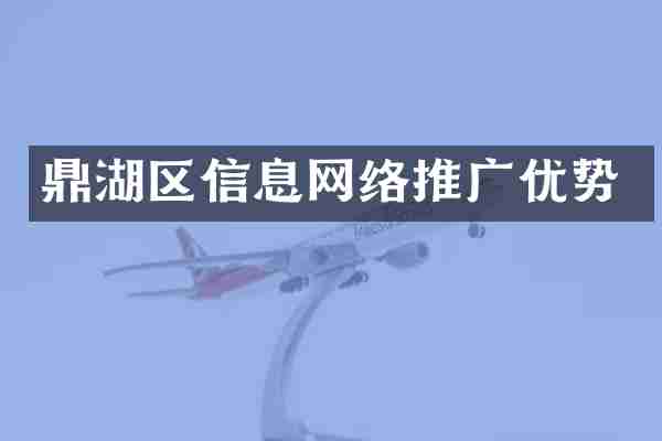 鼎湖区信息网络推广优势