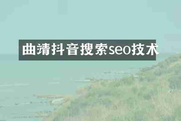 曲靖抖音搜索seo技术