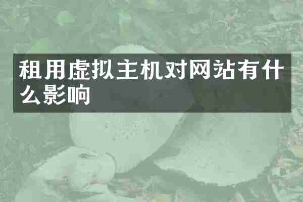 租用虚拟主机对网站有什么影响