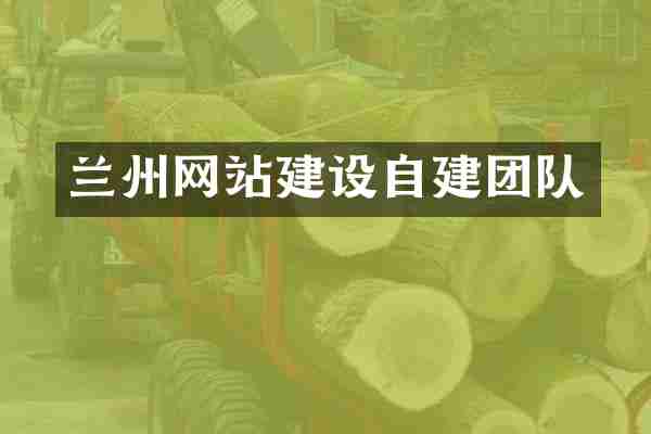 兰州网站建设自建团队