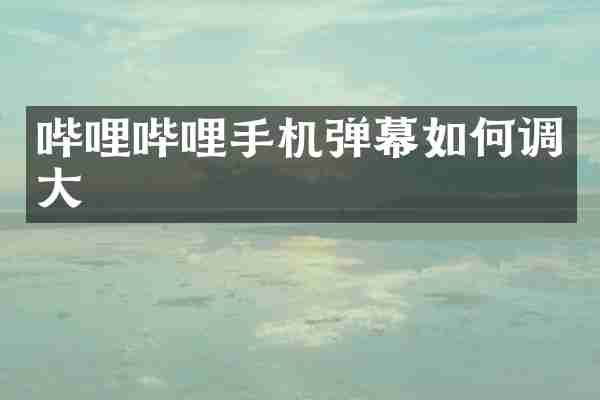 哔哩哔哩手机弹幕如何调大