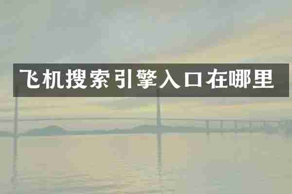 飞机搜索引擎入口在哪里