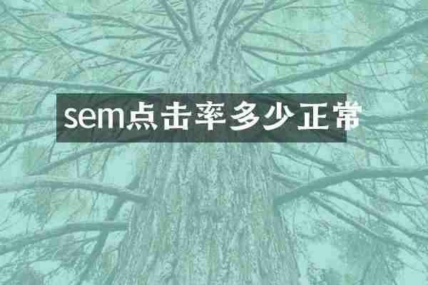 sem点击率多少正常