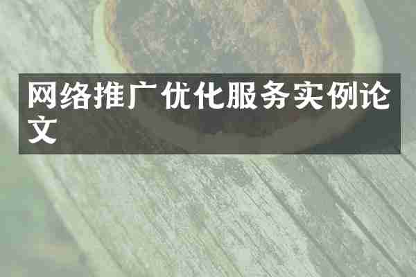 网络推广优化服务实例论文