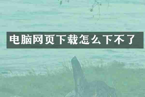 电脑网页下载怎么下不了