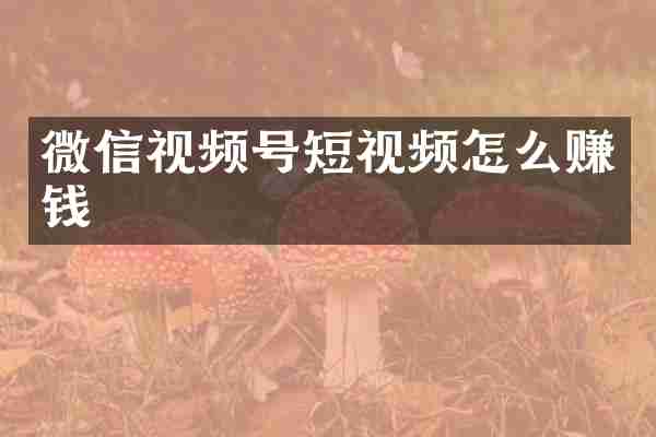 微信视频号短视频怎么赚钱