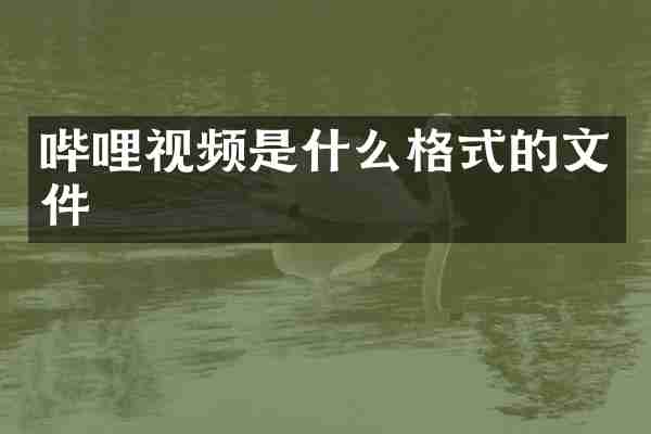 哔哩视频是什么格式的文件