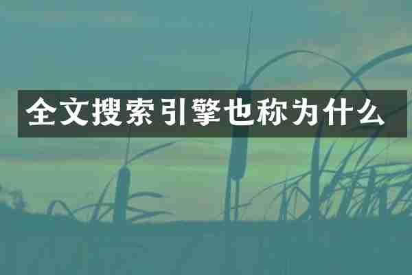全文搜索引擎也称为什么