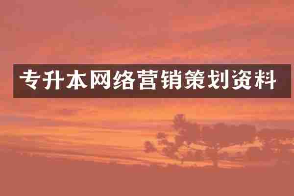 专升本网络营销策划资料