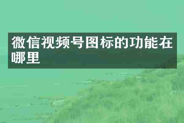 微信视频号图标的功能在哪里