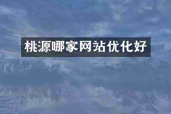 桃源哪家网站优化好