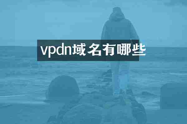 vpdn域名有哪些