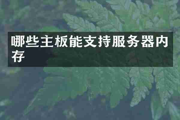 哪些主板能支持服务器内存