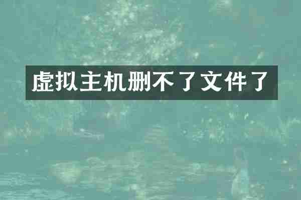 虚拟主机删不了文件了
